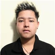 Tutor de sistemas en el área de programación, ofimática (work, Excel, Powerpoint), manejo de herramientas online